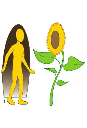 eine gelbe Ichfigur tritt vorsichtig aus einem Dunklen heraus und wendet sich einer Sonnenblume zu, die sie mit offenen Armen begrüßt